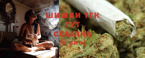 ALPHA PVP Бородино